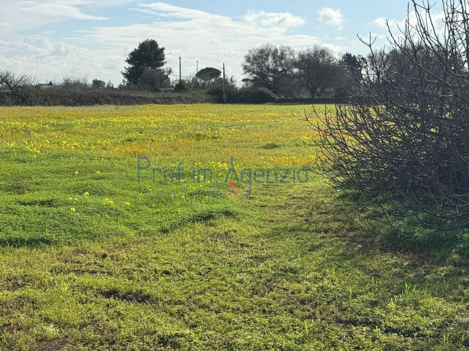 Helårsgrund i Carovigno, Brindisi - foto 1